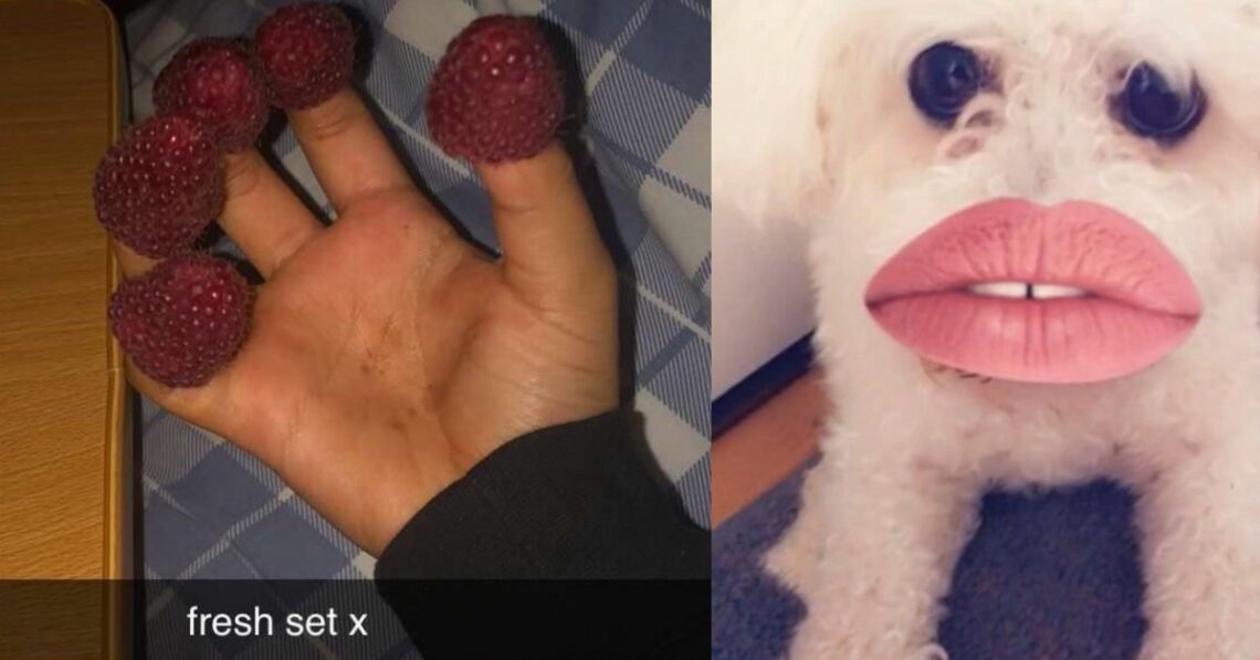 Funny Snaps