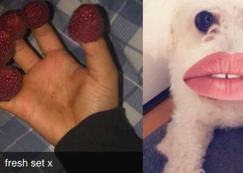 Funny Snaps