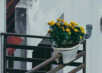 Flower pot in balcony (Unsplash | _imd)