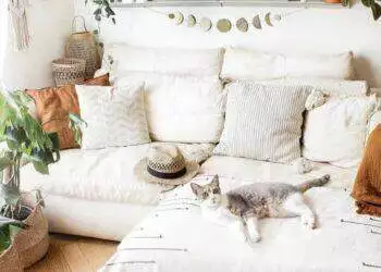 Decoholic