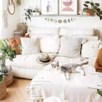 Decoholic