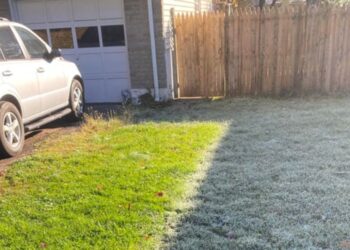 Frozen grass melting (Reddit | HannukahJizzTonsil)