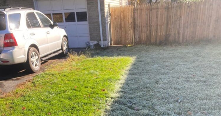 Frozen grass melting (Reddit | HannukahJizzTonsil)