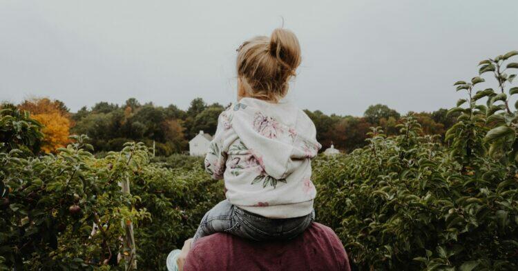 Dad carrying child on his shoulders (Unsplash | Kelly Sikkema)