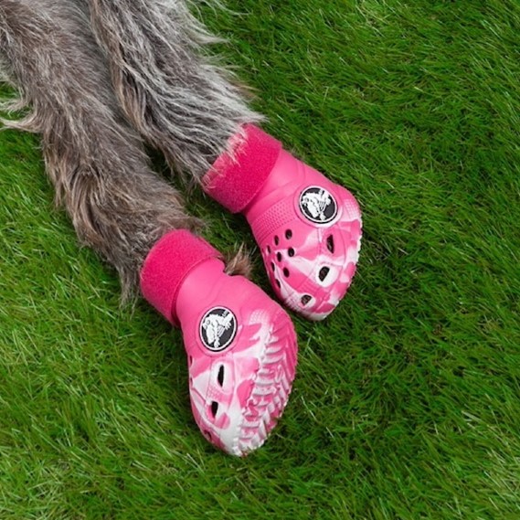 Crocs for dogs