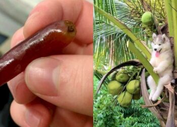 Bizarre things that make you wonder 