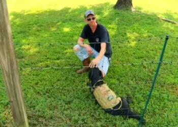 Bryan Tucker put up an electric fence that raised the neighbors' concerns