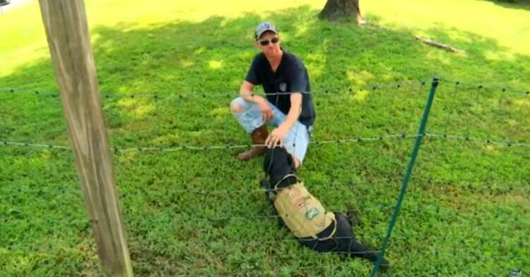 Bryan Tucker put up an electric fence that raised the neighbors' concerns