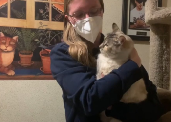 Facebook | Riverside County Animal Services