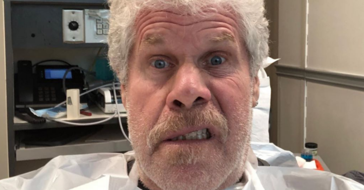 Instagram | @perlmutations