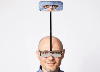 Dominic Wilcox