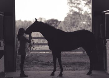 Unsplash | Kenny Webster