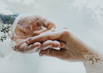 Unsplash | Alvin Mahmudov