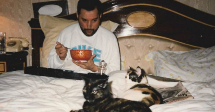 My Freddie Mercury