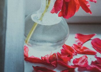 Unsplash | Anna Zakharova