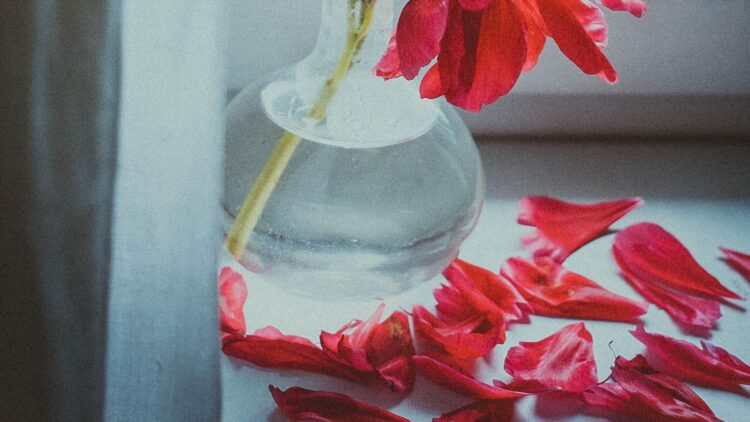 Unsplash | Anna Zakharova