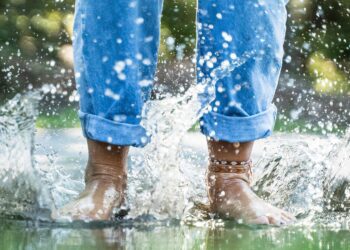 Unsplash | Nicholas Bartos