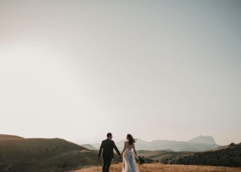 Unsplash | Foto Pettine