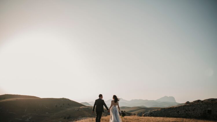 Unsplash | Foto Pettine