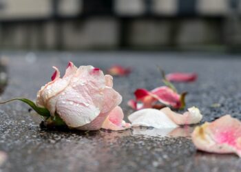 Unsplash | Ian Taylor
