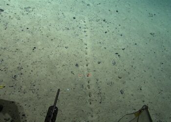 Facebook | NOAA Ocean Exploration