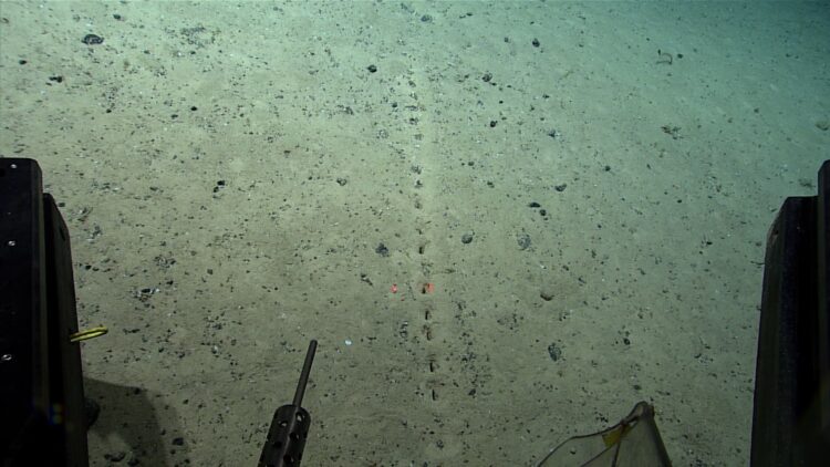 Facebook | NOAA Ocean Exploration