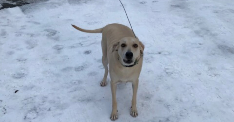 Facebook | York County Sheriff's Office - Maine
