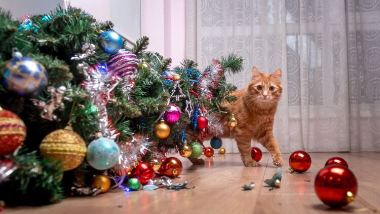Shutterstock | 3384386