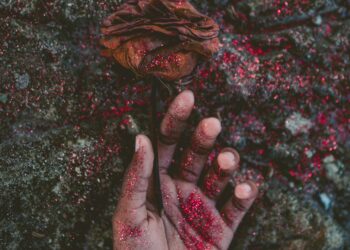 Unsplash | Javardh