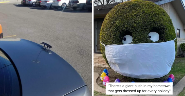 Reddit