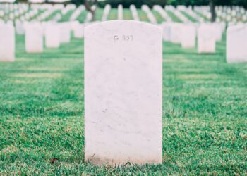 Unsplash | Matt Botsford