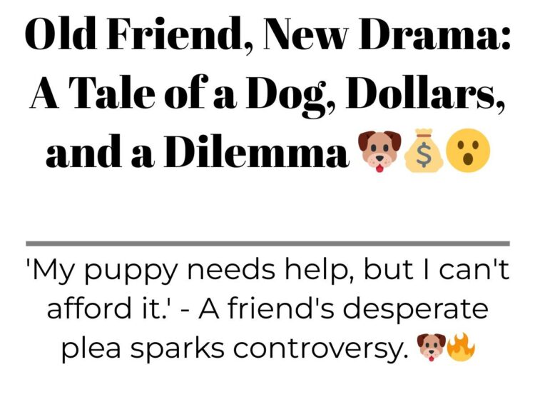 Diply | Diply