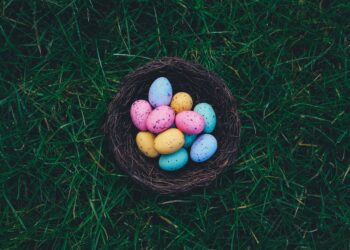 Unsplash | Unsplash