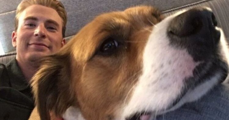 Twitter | @ChrisEvans