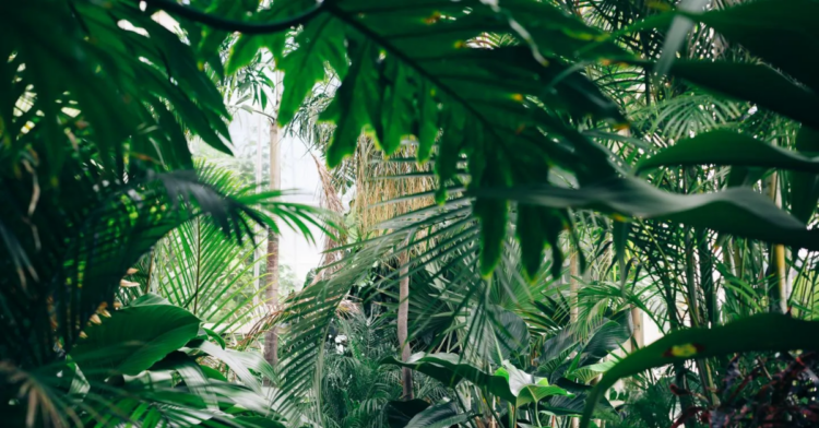 Unsplash