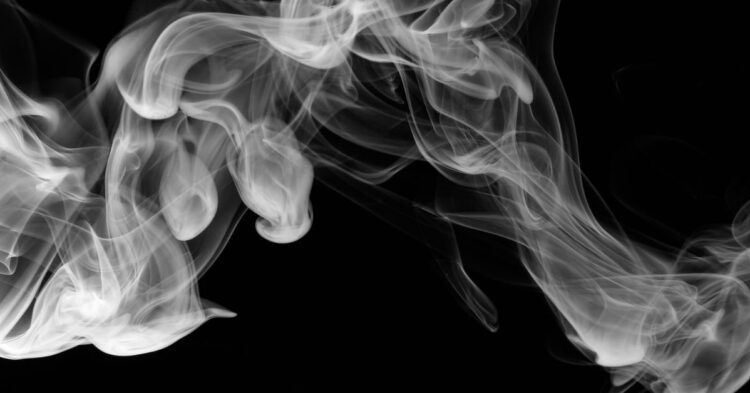 Unsplash | Pascal Meier