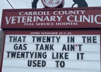 instagram | @carrollcountyveterinaryclinic