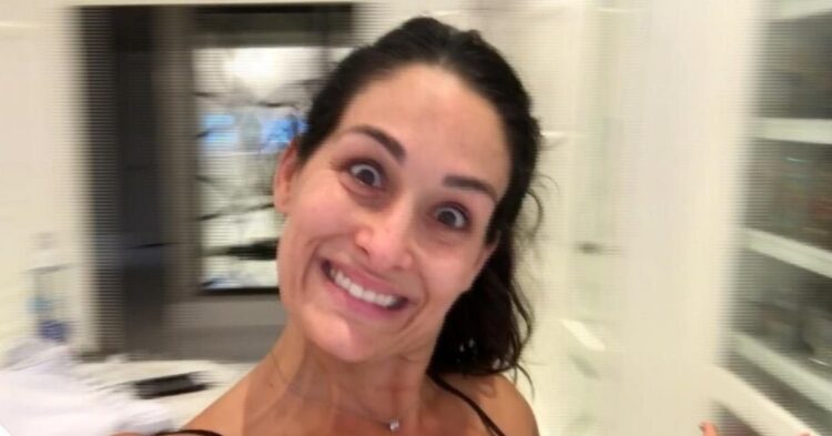 YouTube | The Bella Twins