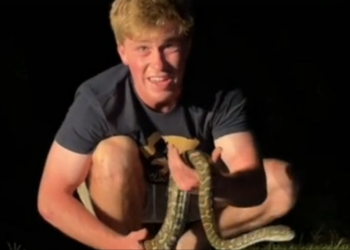 TikTok | @robertirwin