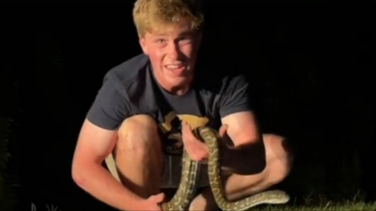 TikTok | @robertirwin