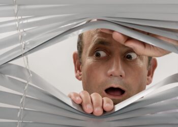 Shutterstock | 239440