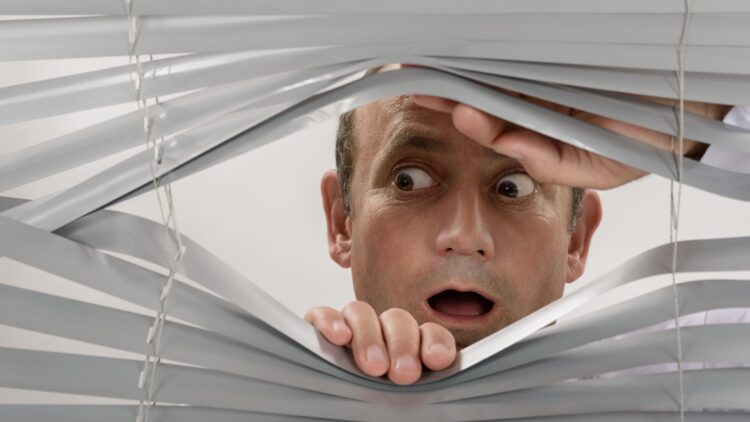 Shutterstock | 239440