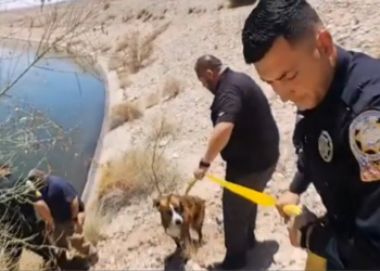 Facebook | Yuma County Sheriff's Office