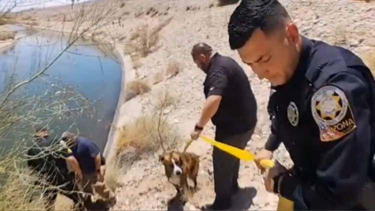 Facebook | Yuma County Sheriff's Office