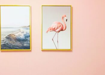 Unsplash | Dan 7th