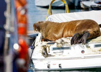 Getty Images | Tor Erik Schrøder / NTB / AFP