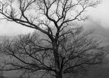 Unsplash | Jake Colling