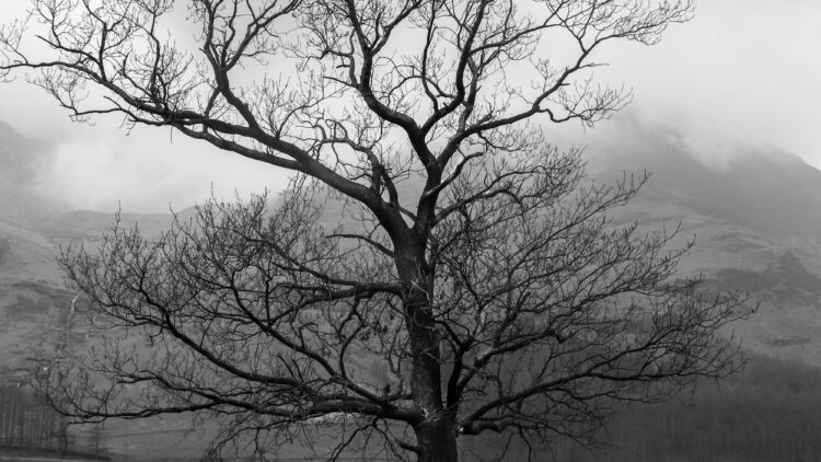 Unsplash | Jake Colling