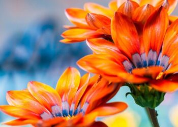 Unsplash