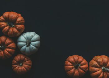 Unsplash | Scott Webb